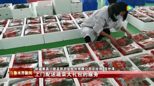 日供有機(jī)果蔬3噸，新疆植物工廠豐富市民菜籃子——順富醫(yī)藥引領(lǐng)智慧農(nóng)業(yè)新風(fēng)尚